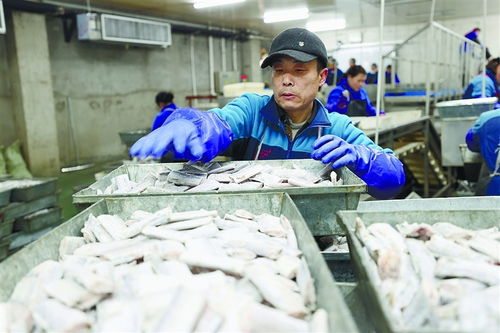 連云港規(guī)上工業(yè)企業(yè)穩(wěn)產增 食品經營助力經濟社會發(fā)展首季開門紅